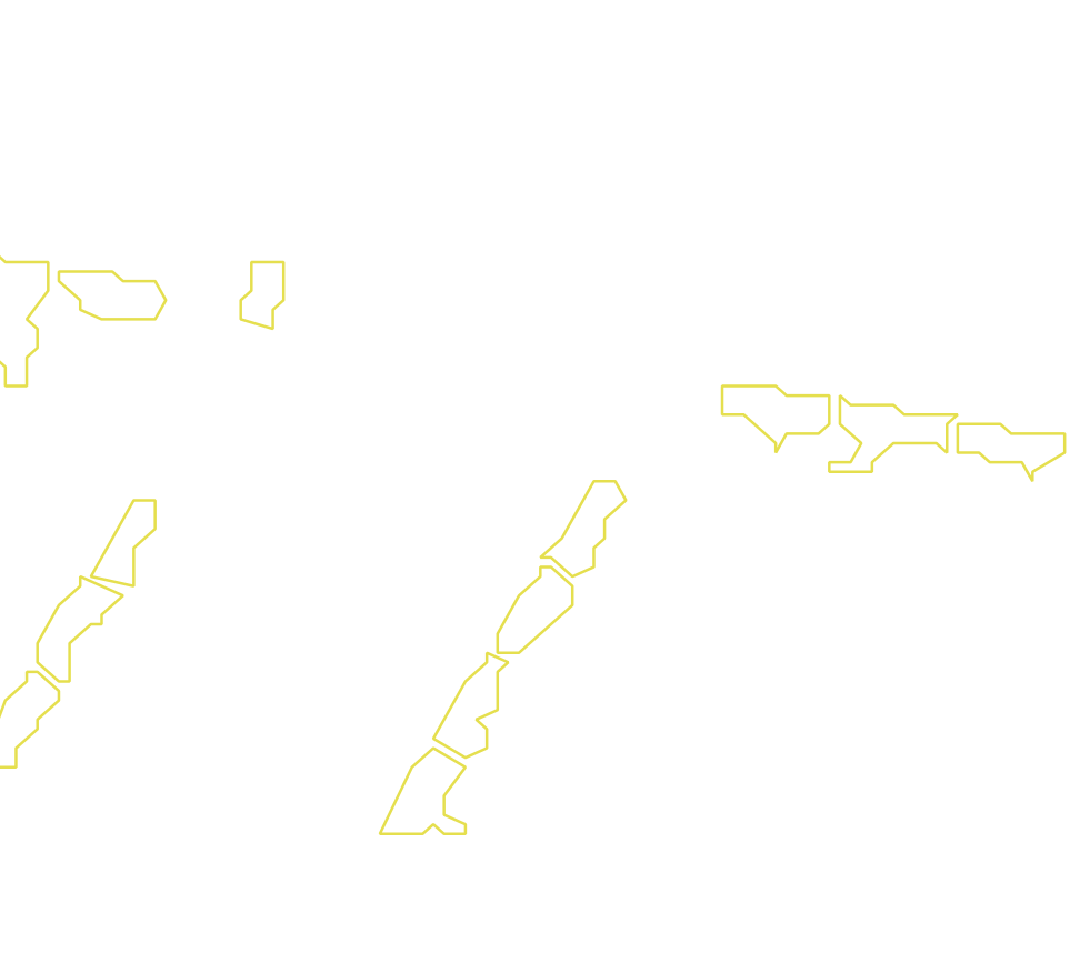Daksegment met contourlijnen en structuurweergave