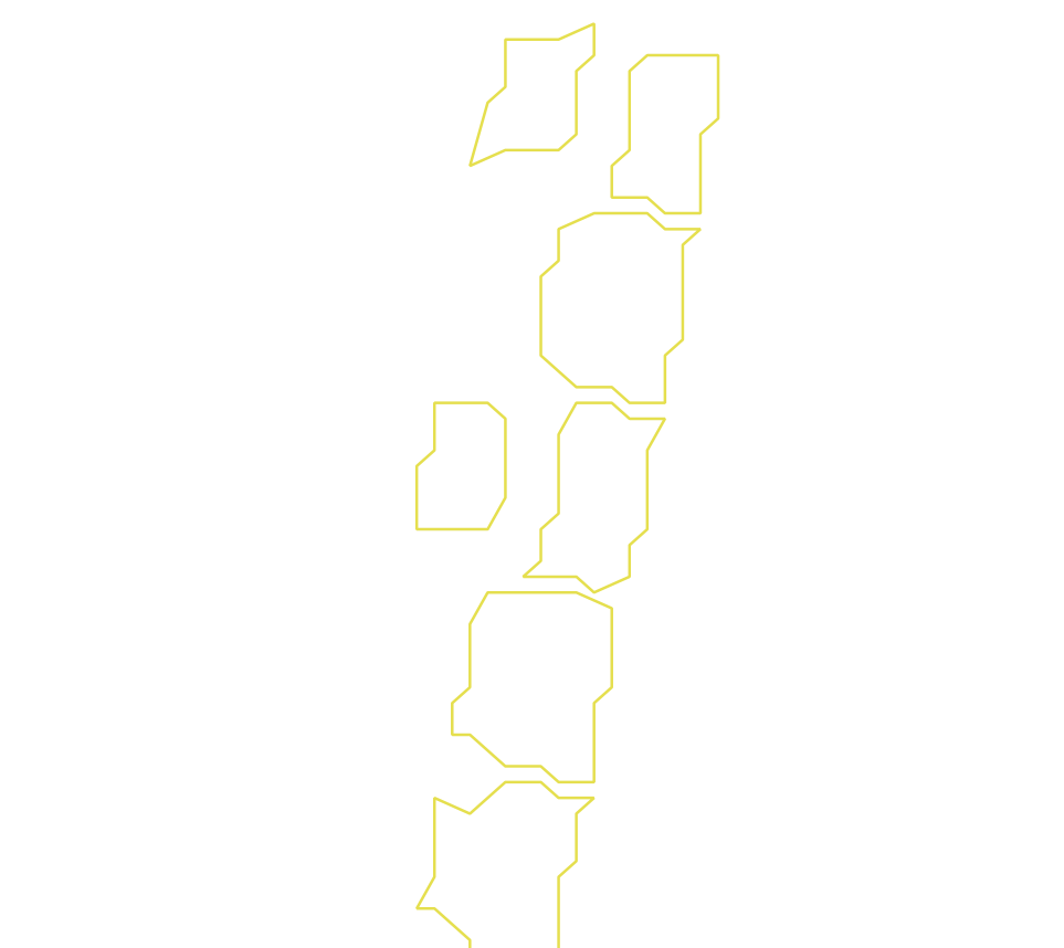 Daksegment ingezoomd met contourlijnen en structuurweergave