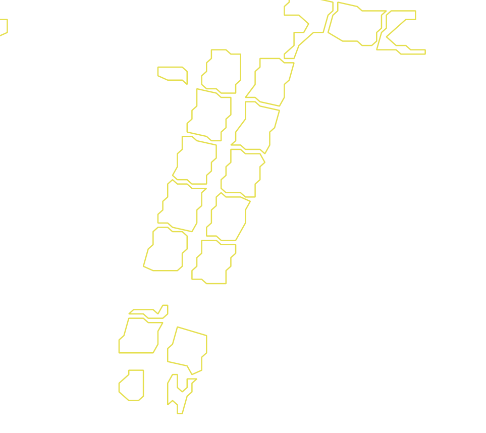 Daksegment met contourlijnen en structuurweergave
