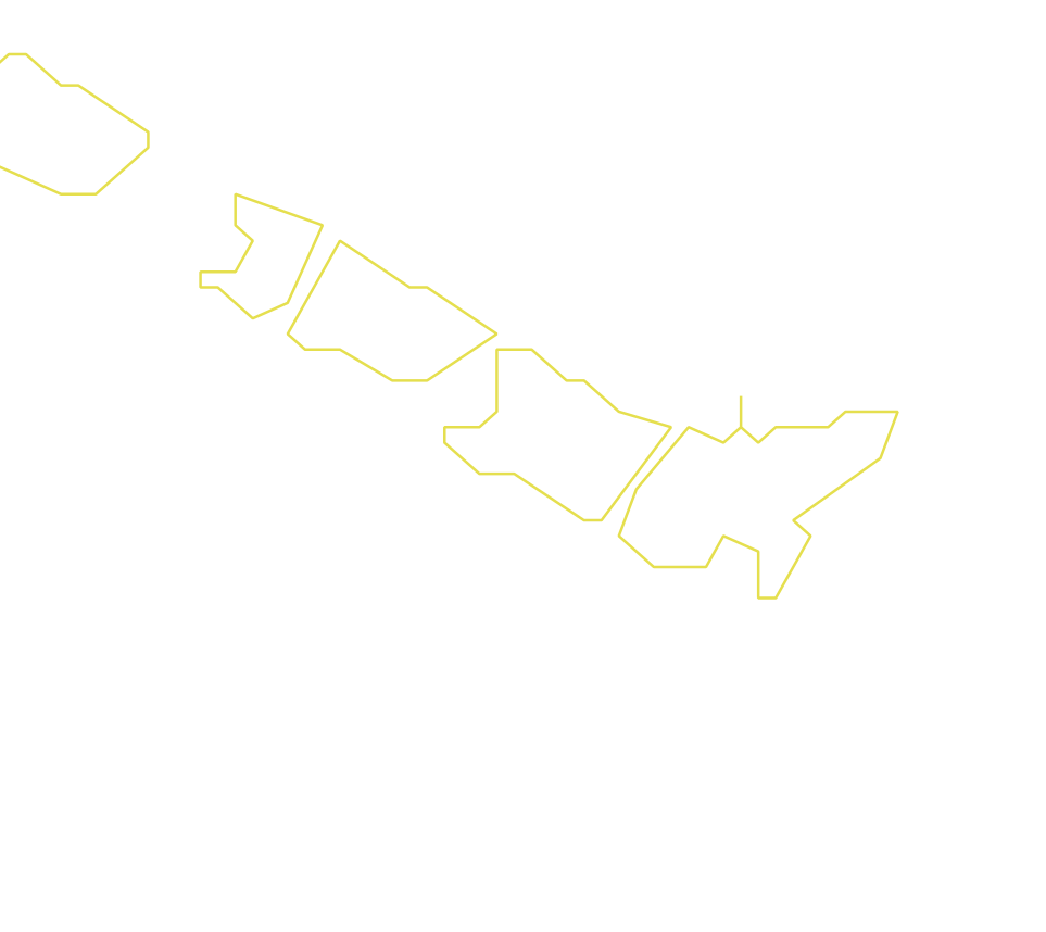 Daksegment ingezoomd met contourlijnen en structuurweergave