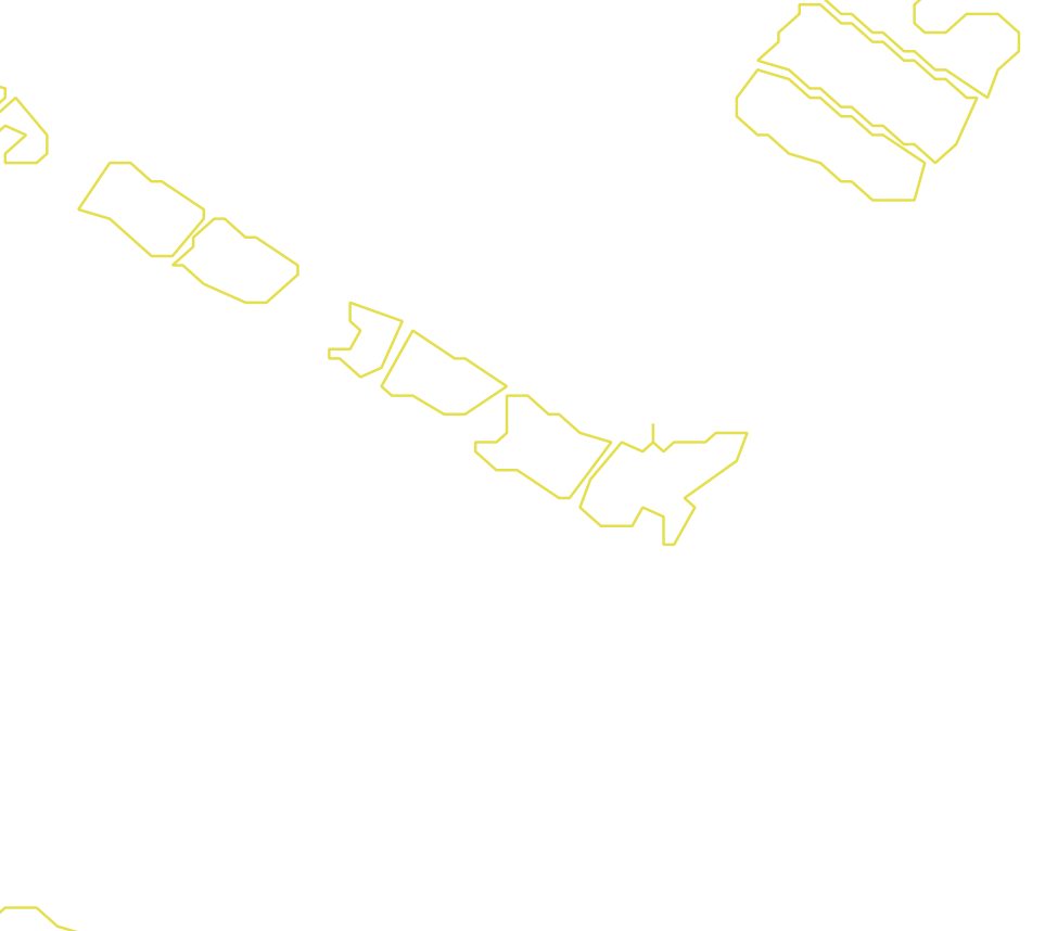 Daksegment met contourlijnen en structuurweergave