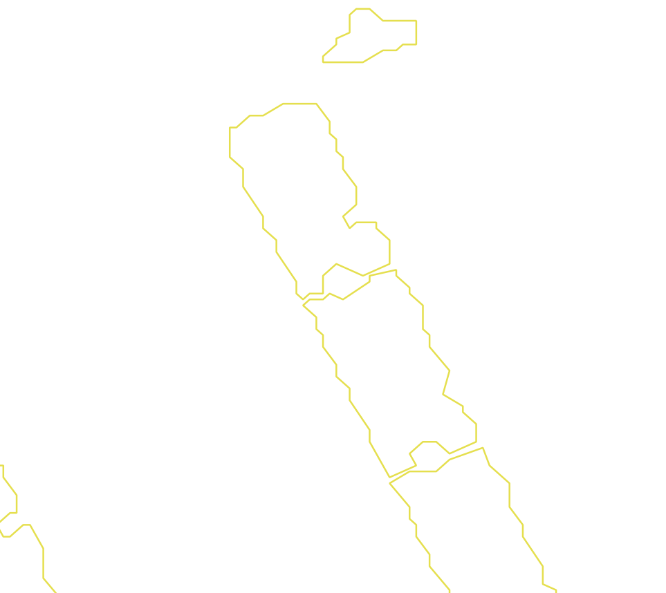 Daksegment met contourlijnen en structuurweergave