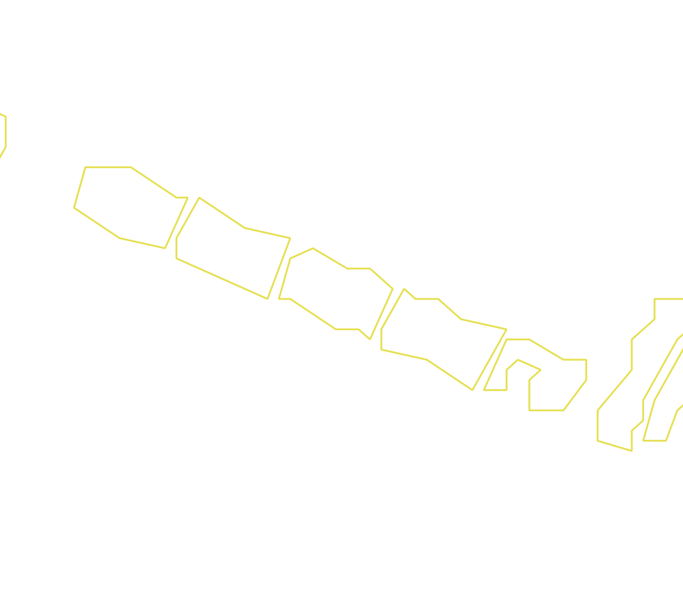 Daksegment ingezoomd met contourlijnen en structuurweergave