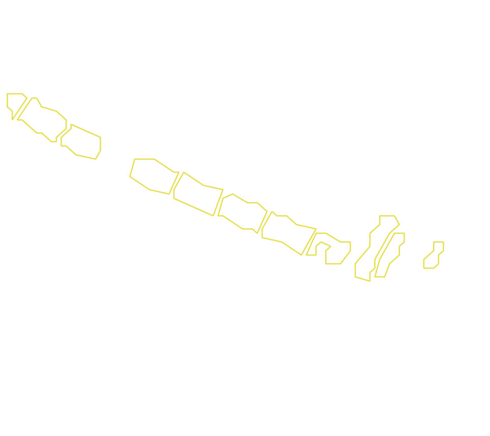 Daksegment met contourlijnen en structuurweergave