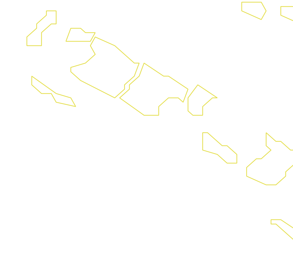 Daksegment ingezoomd met contourlijnen en structuurweergave