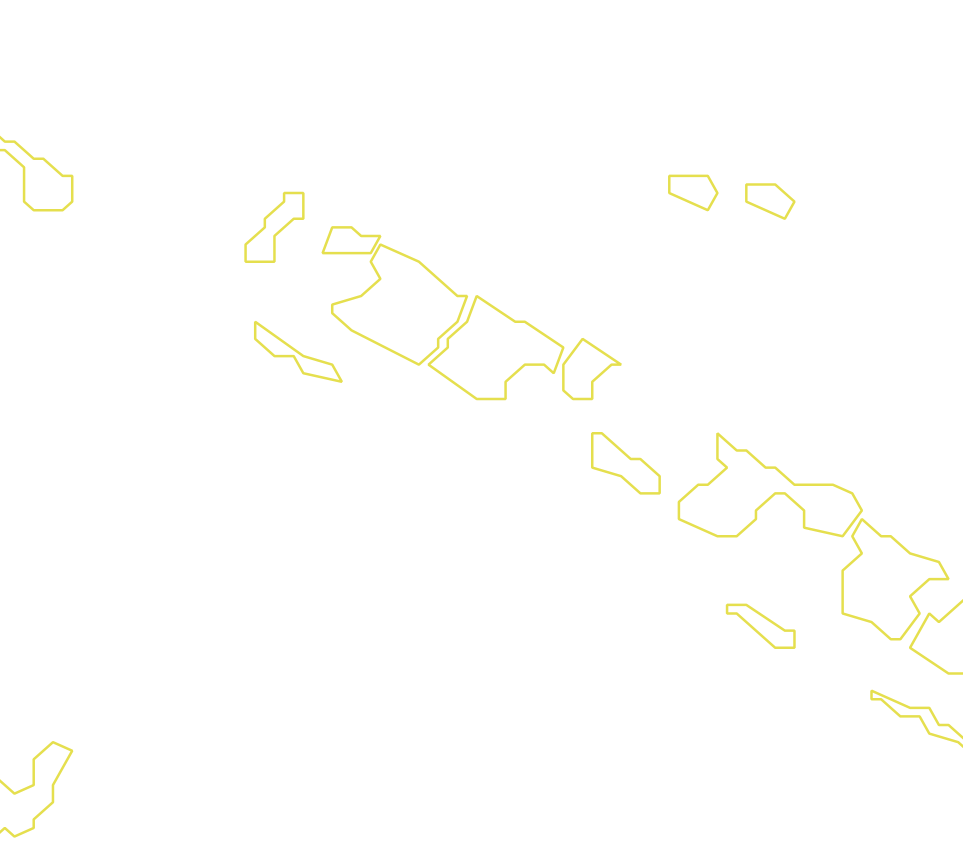 Daksegment met contourlijnen en structuurweergave