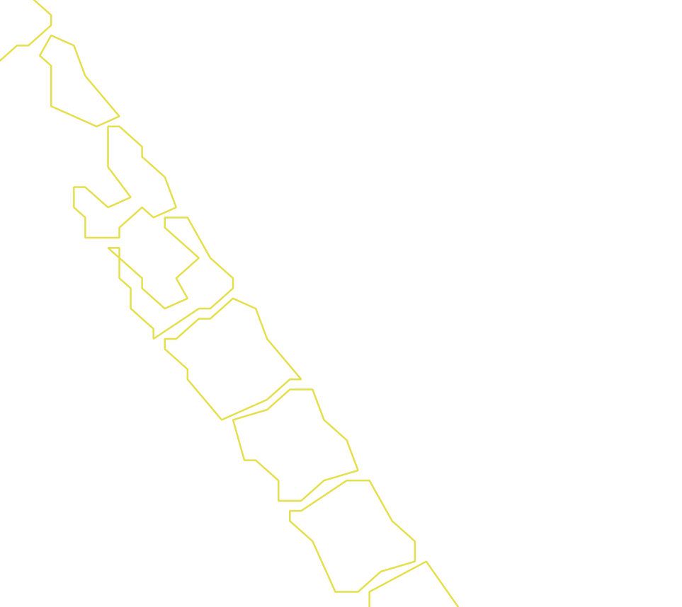 Daksegment ingezoomd met contourlijnen en structuurweergave