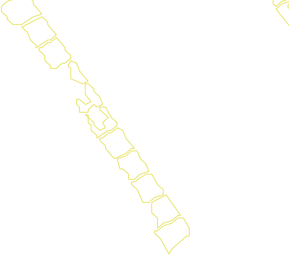 Daksegment met contourlijnen en structuurweergave