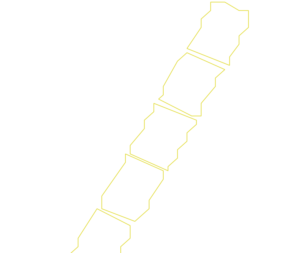 Daksegment ingezoomd met contourlijnen en structuurweergave