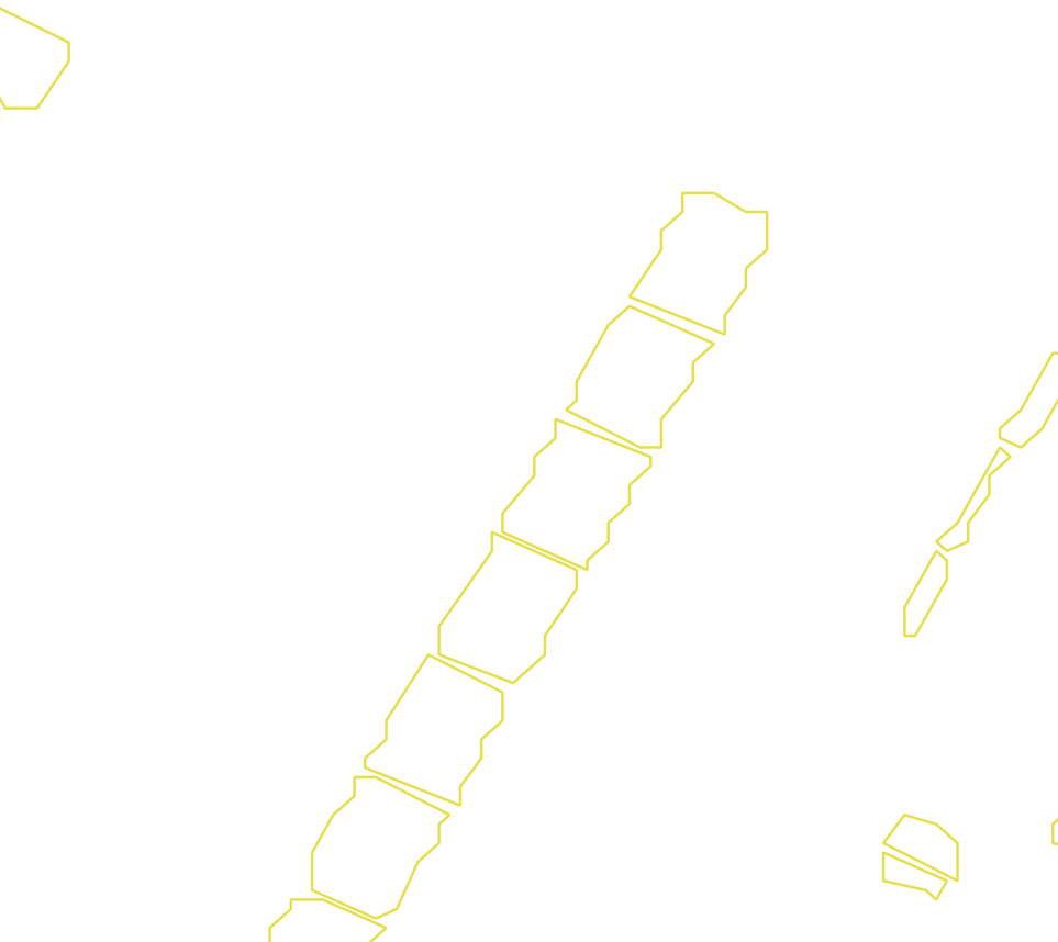 Daksegment met contourlijnen en structuurweergave