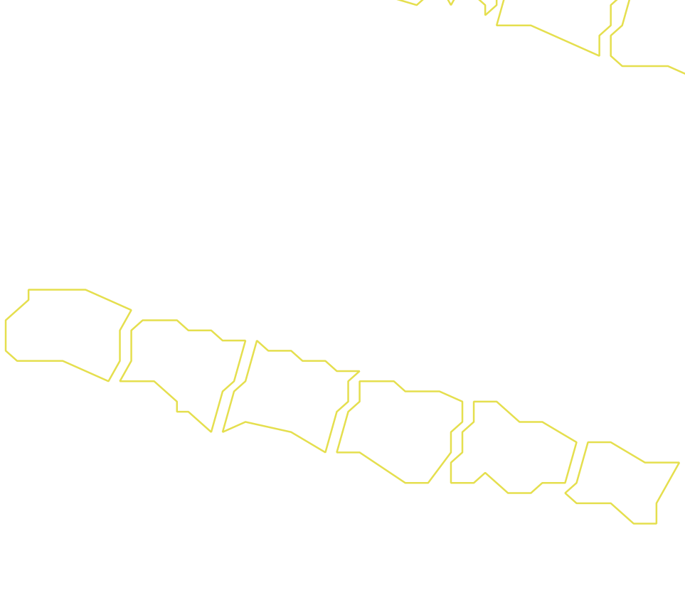 Daksegment ingezoomd met contourlijnen en structuurweergave