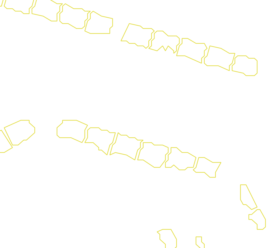 Daksegment met contourlijnen en structuurweergave