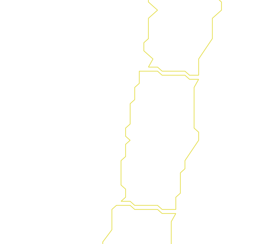 Daksegment ingezoomd met contourlijnen en structuurweergave