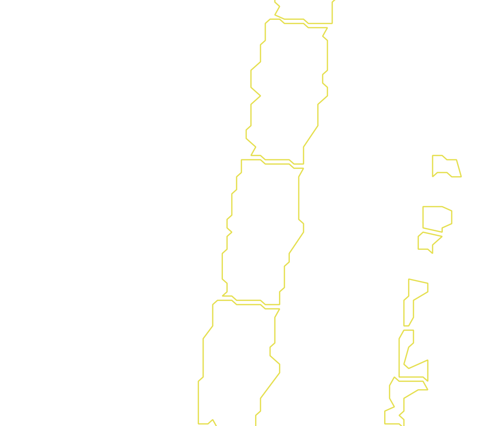 Daksegment met contourlijnen en structuurweergave