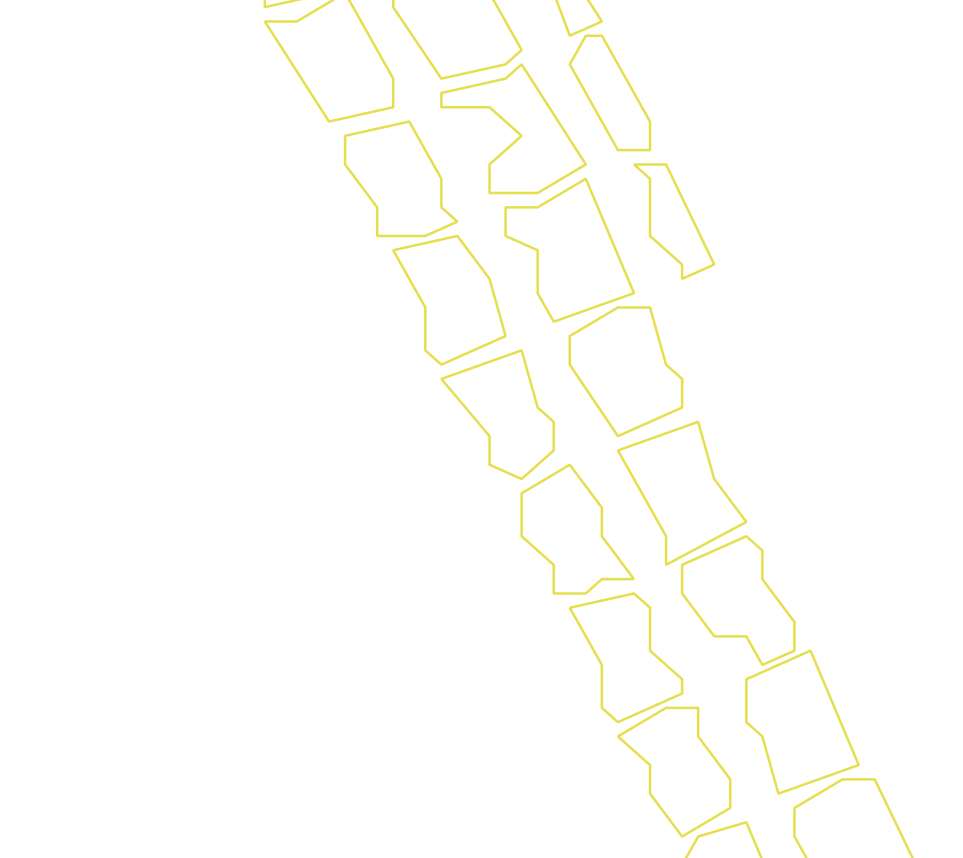 Daksegment ingezoomd met contourlijnen en structuurweergave