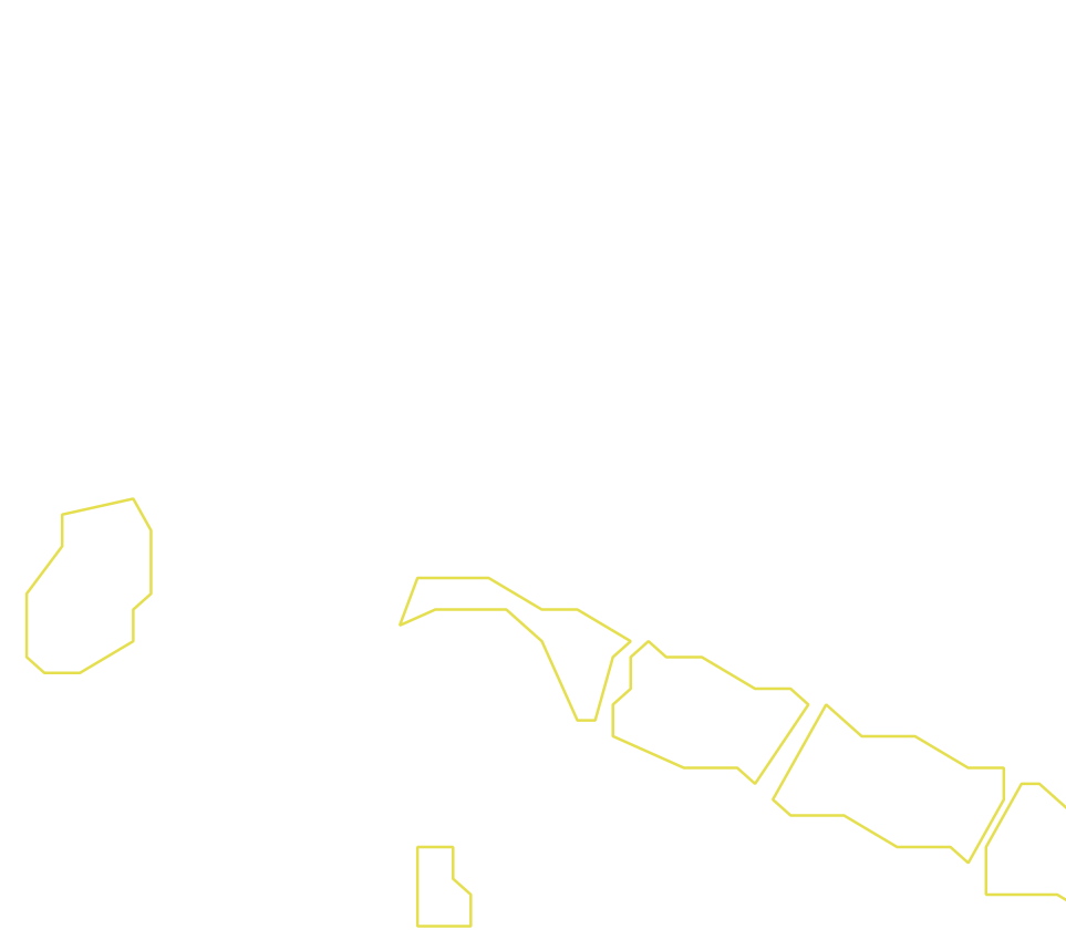 Daksegment ingezoomd met contourlijnen en structuurweergave