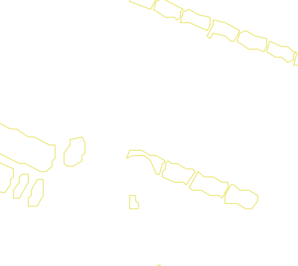 Daksegment met contourlijnen en structuurweergave