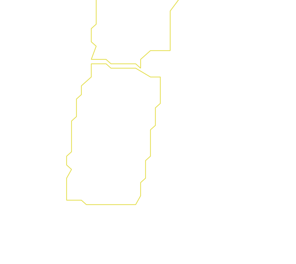 Daksegment ingezoomd met contourlijnen en structuurweergave