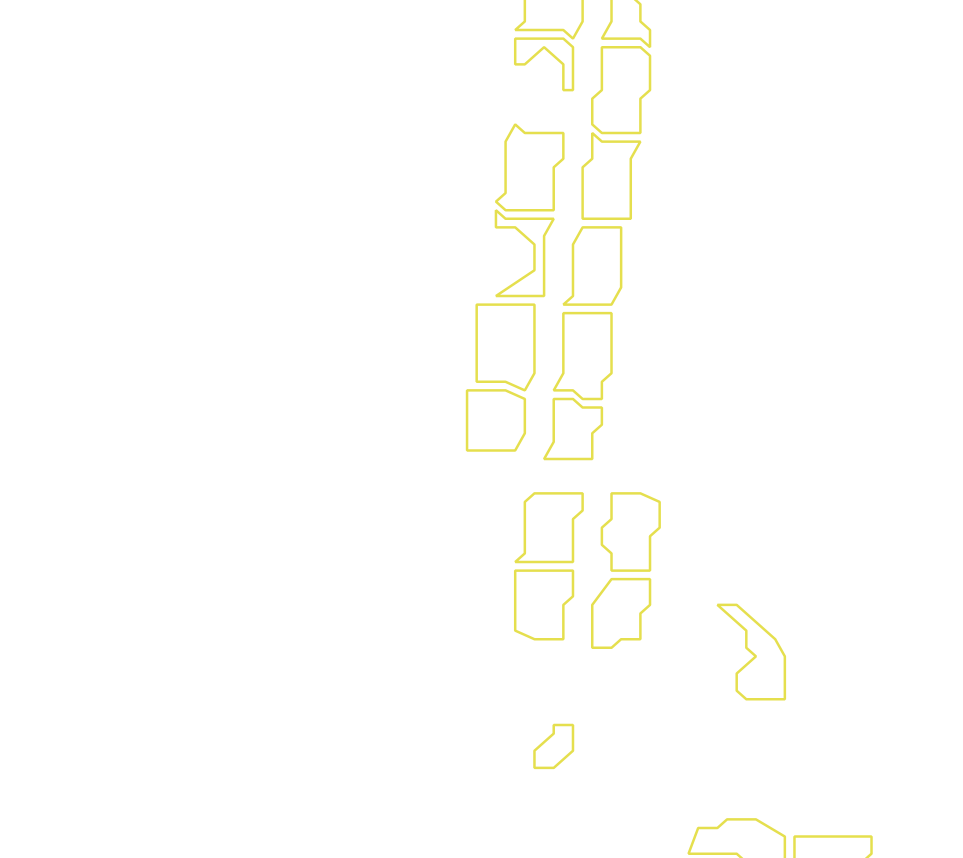 Daksegment met contourlijnen en structuurweergave