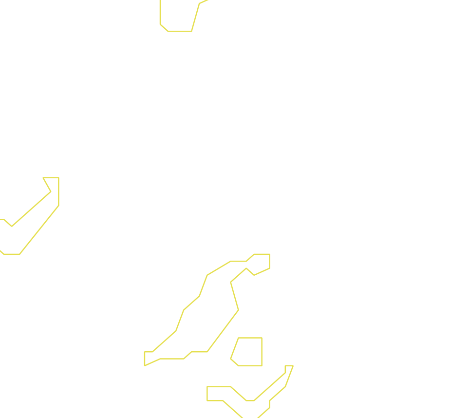 Daksegment ingezoomd met contourlijnen en structuurweergave