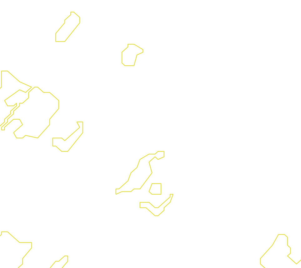 Daksegment met contourlijnen en structuurweergave