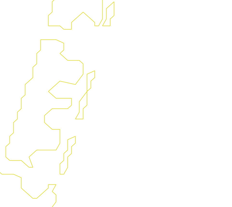 Daksegment ingezoomd met contourlijnen en structuurweergave
