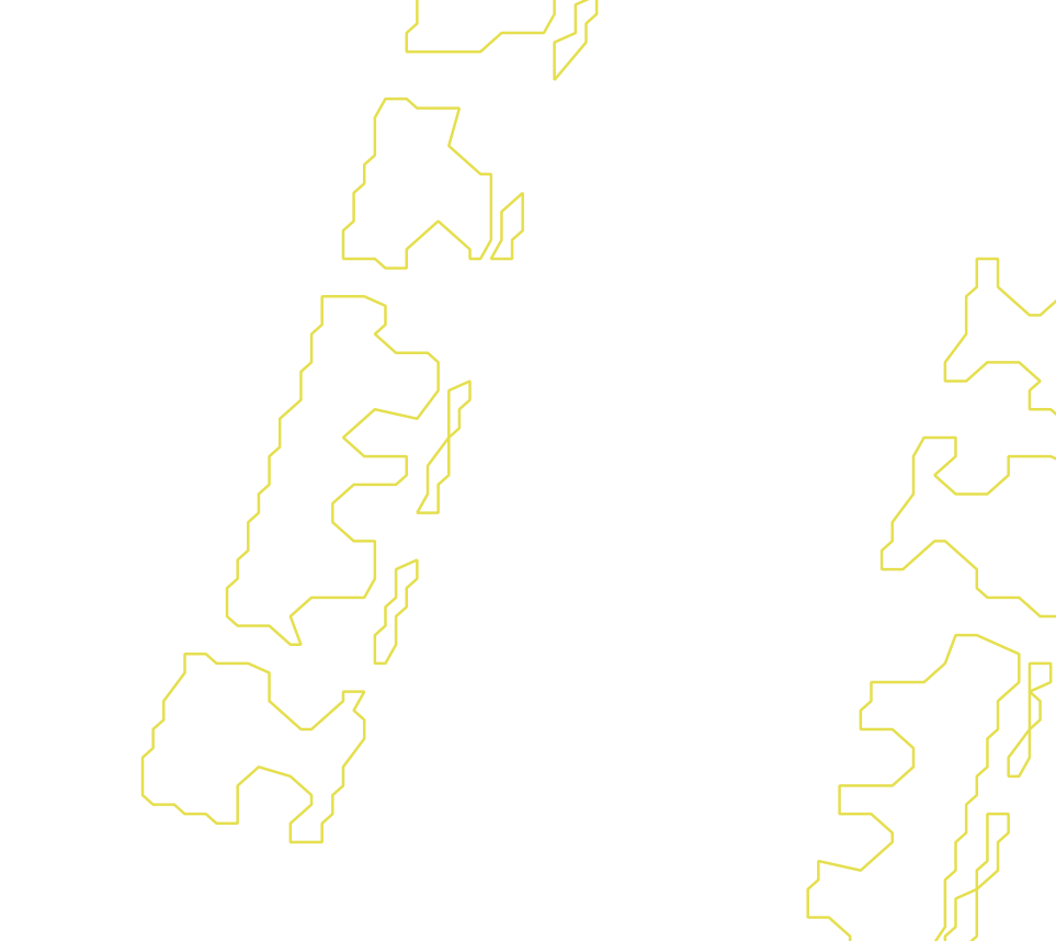 Daksegment met contourlijnen en structuurweergave