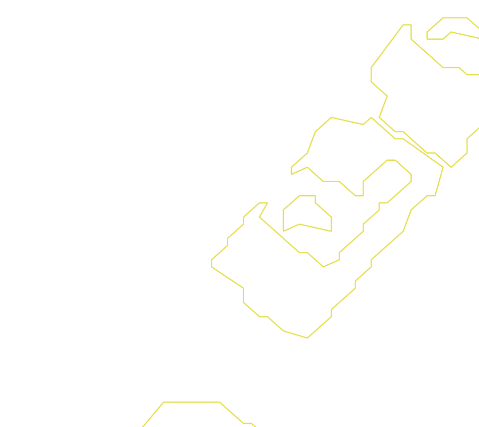 Daksegment ingezoomd met contourlijnen en structuurweergave