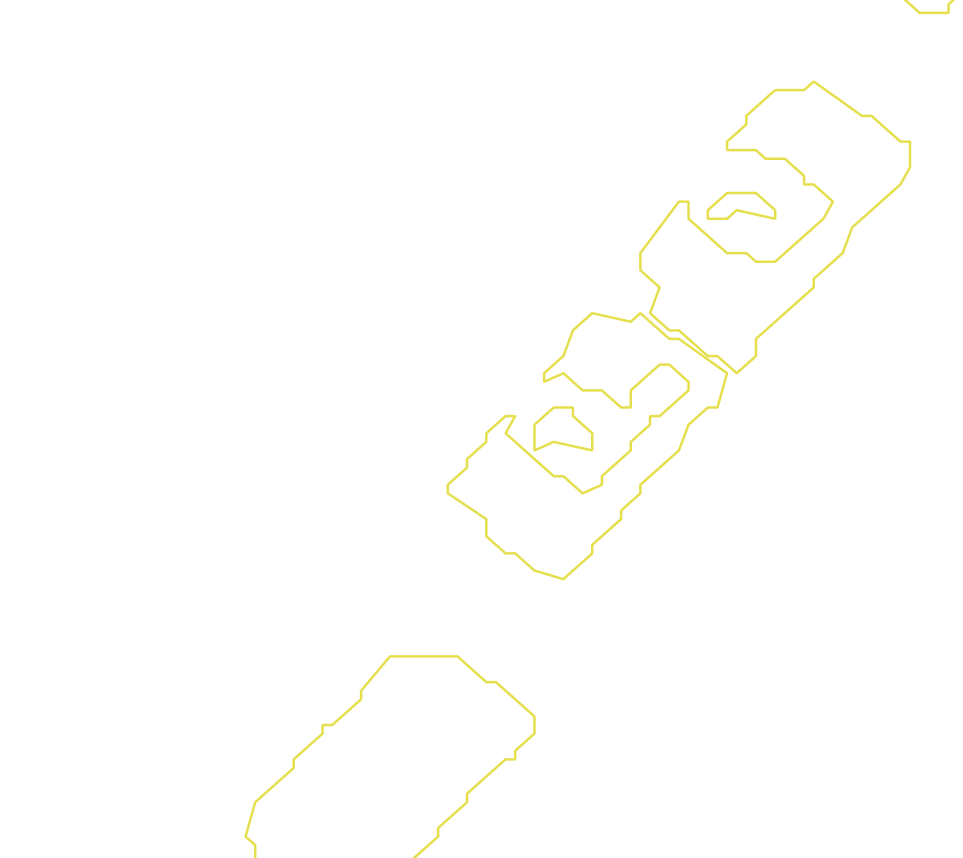 Daksegment met contourlijnen en structuurweergave