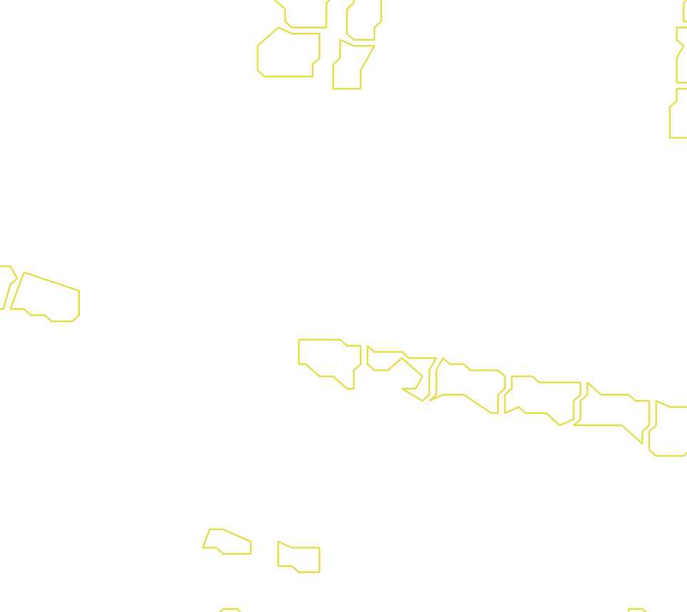 Daksegment met contourlijnen en structuurweergave