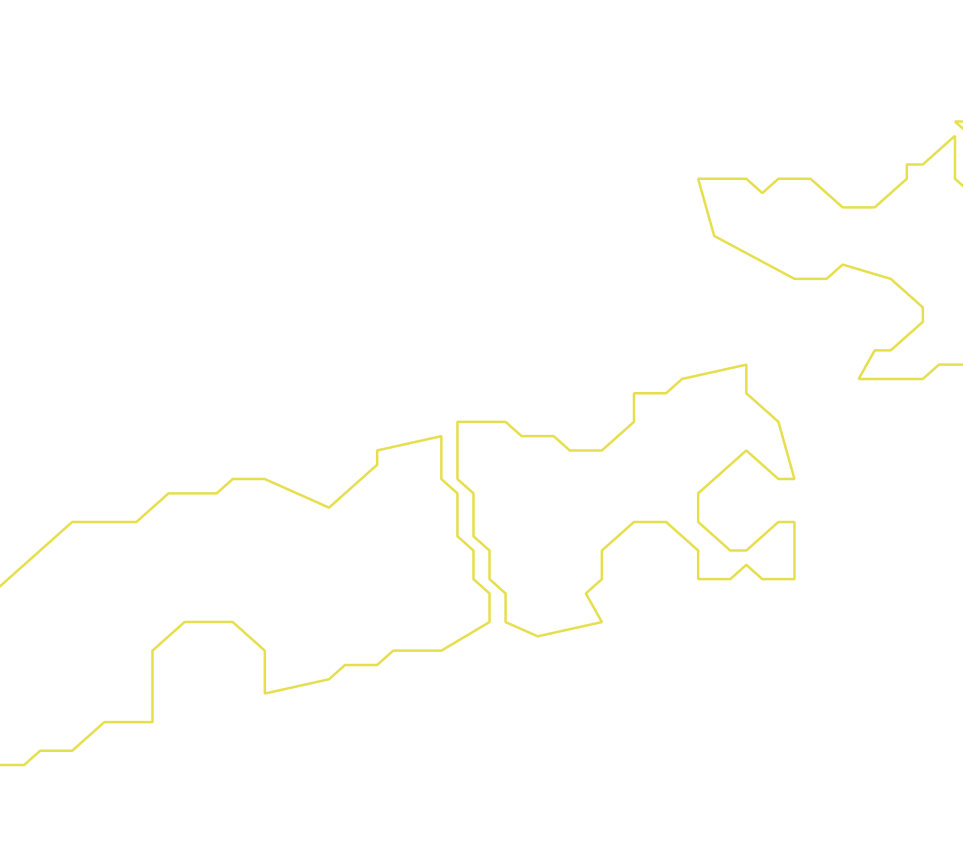 Daksegment ingezoomd met contourlijnen en structuurweergave