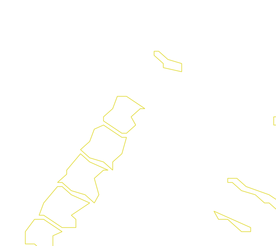 Daksegment ingezoomd met contourlijnen en structuurweergave