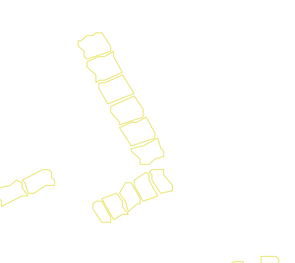 Daksegment met contourlijnen en structuurweergave