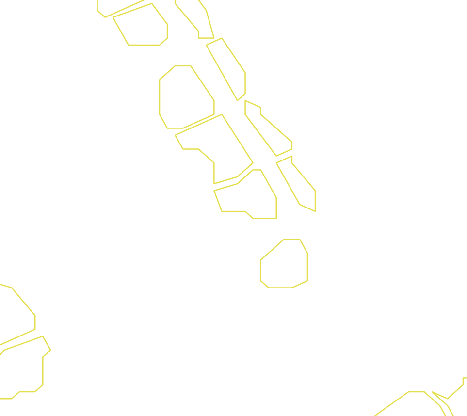 Daksegment ingezoomd met contourlijnen en structuurweergave