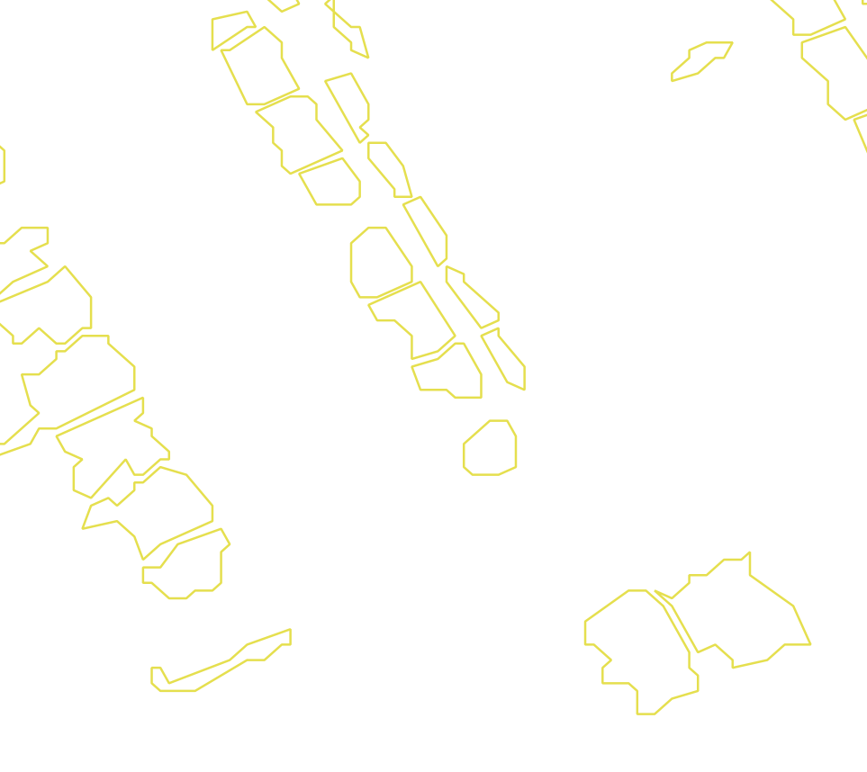 Daksegment met contourlijnen en structuurweergave