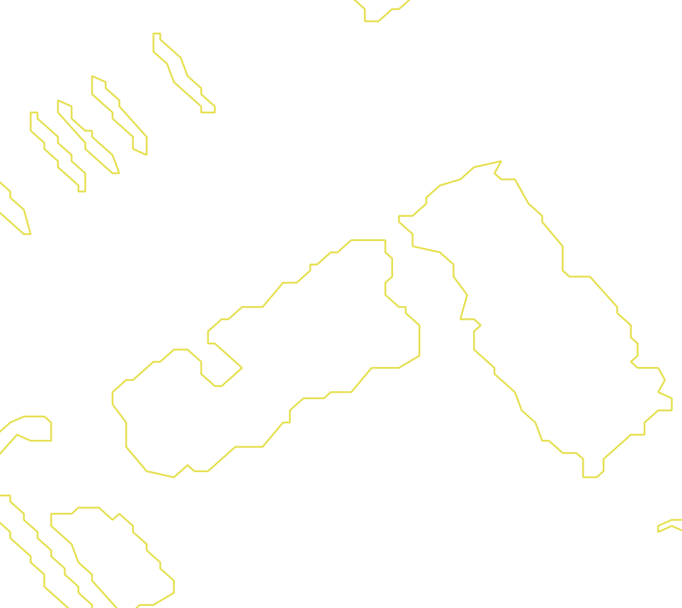 Daksegment met contourlijnen en structuurweergave