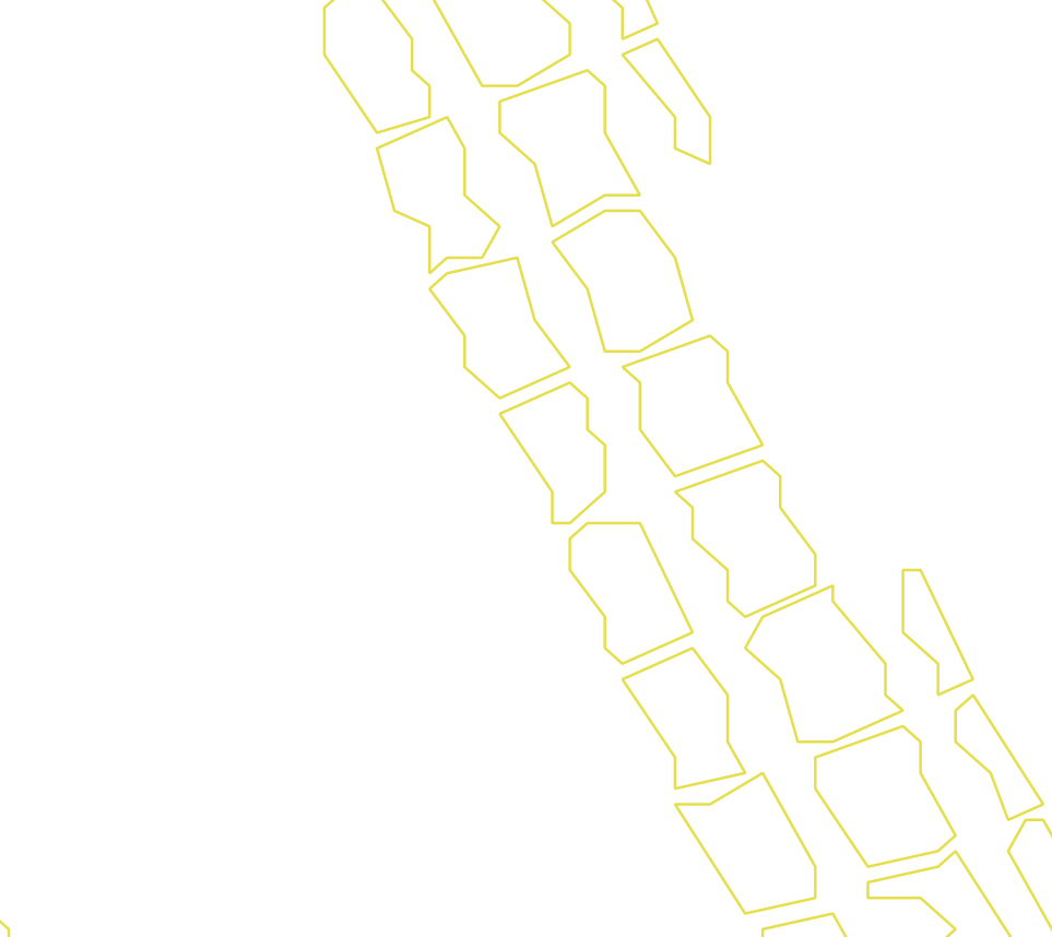 Daksegment ingezoomd met contourlijnen en structuurweergave