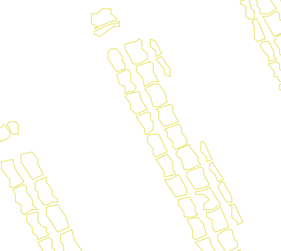 Daksegment met contourlijnen en structuurweergave