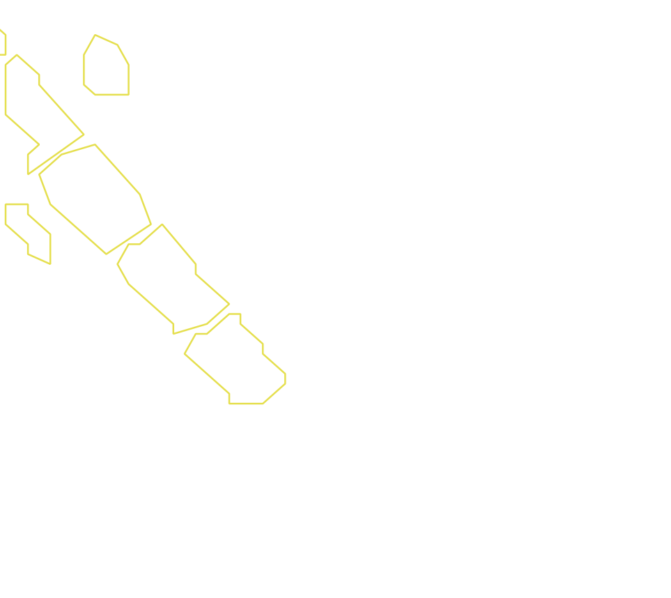 Daksegment ingezoomd met contourlijnen en structuurweergave
