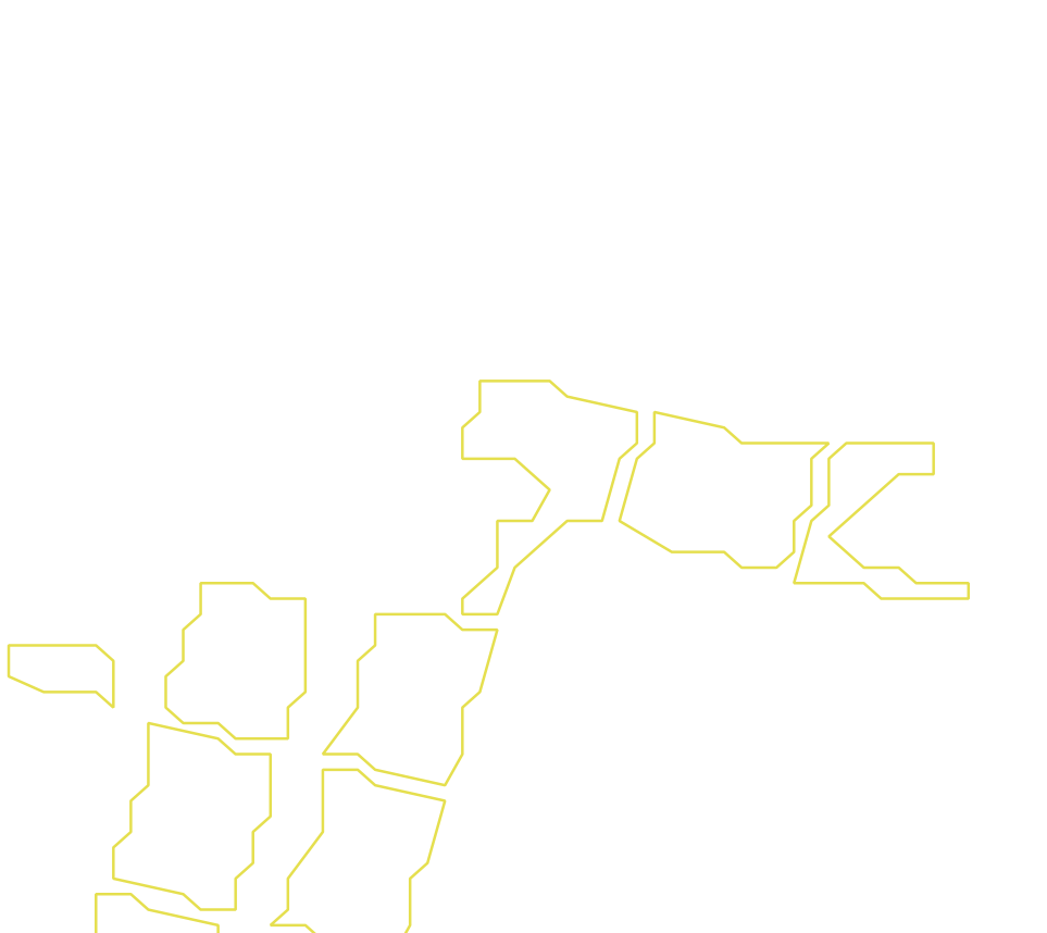 Daksegment ingezoomd met contourlijnen en structuurweergave