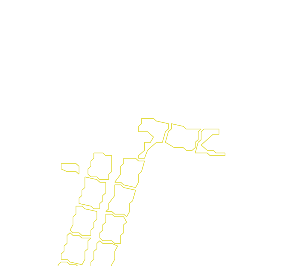 Daksegment met contourlijnen en structuurweergave