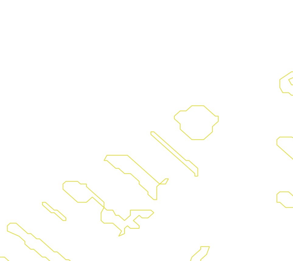 Daksegment met contourlijnen en structuurweergave