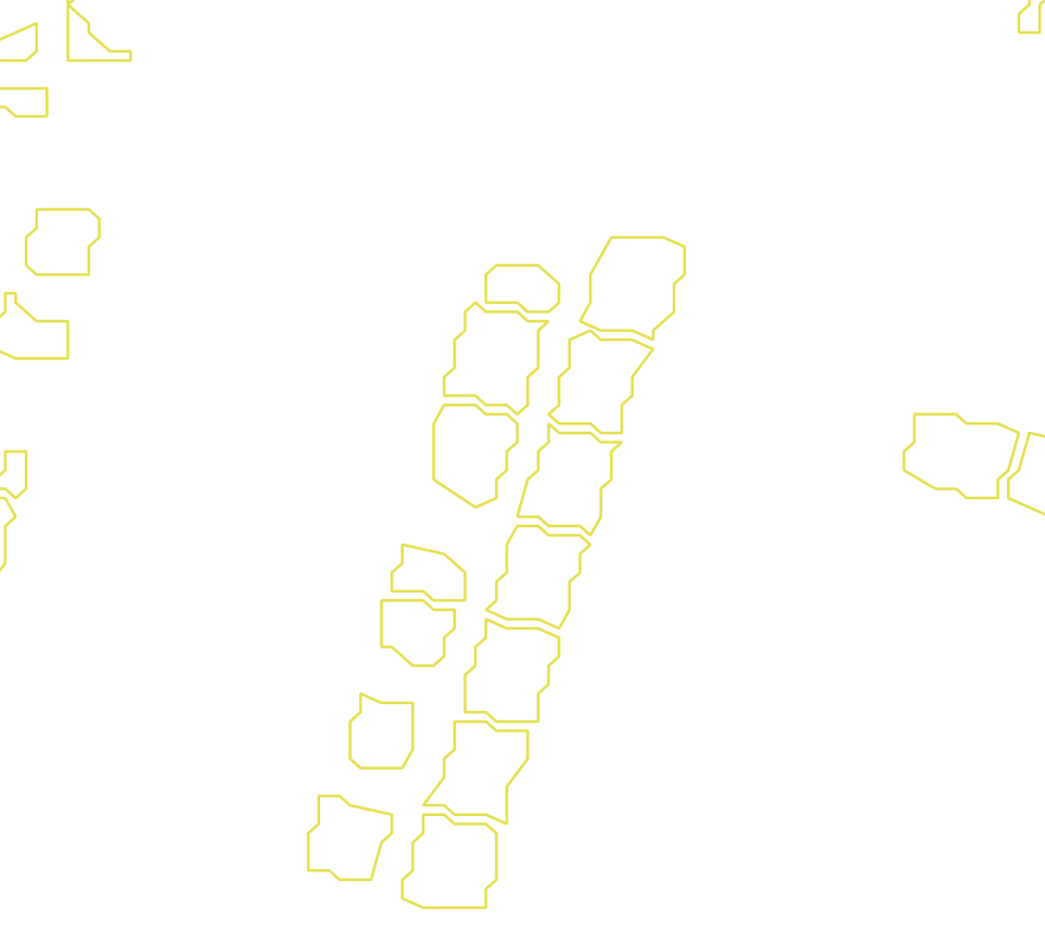 Daksegment met contourlijnen en structuurweergave