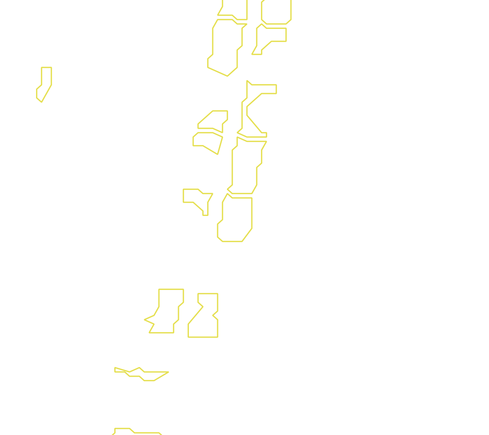 Daksegment met contourlijnen en structuurweergave