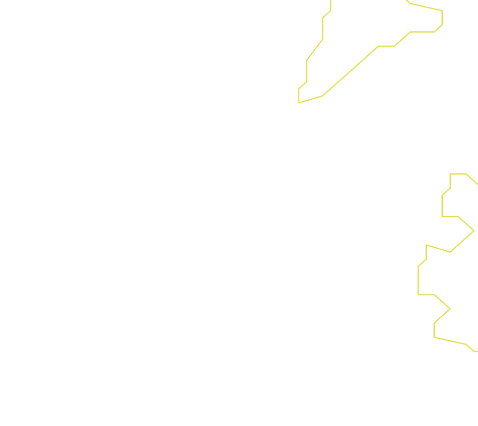 Daksegment ingezoomd met contourlijnen en structuurweergave