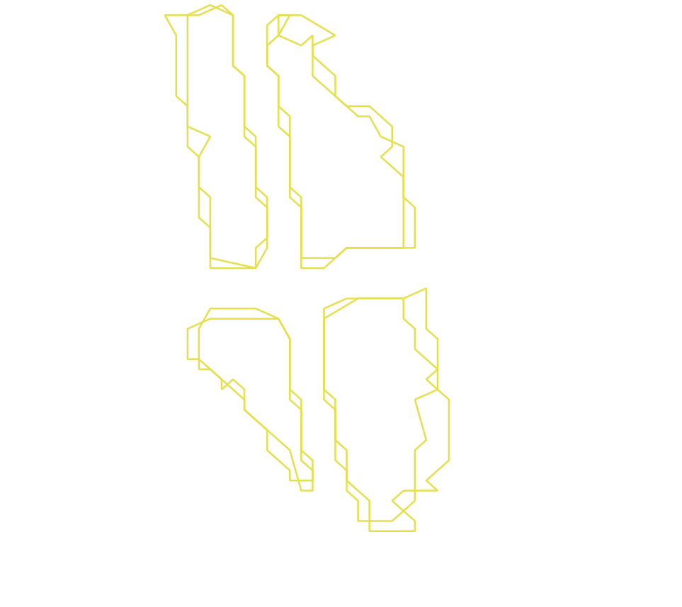 Daksegment ingezoomd met contourlijnen en structuurweergave