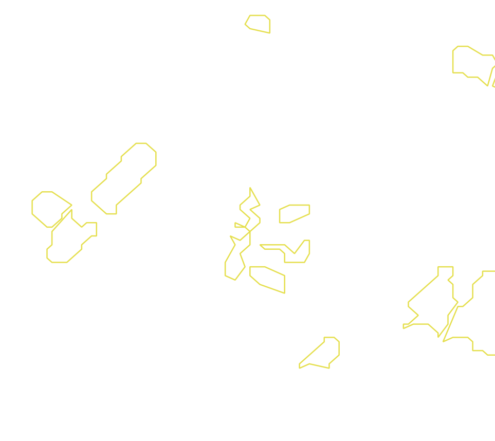 Daksegment met contourlijnen en structuurweergave