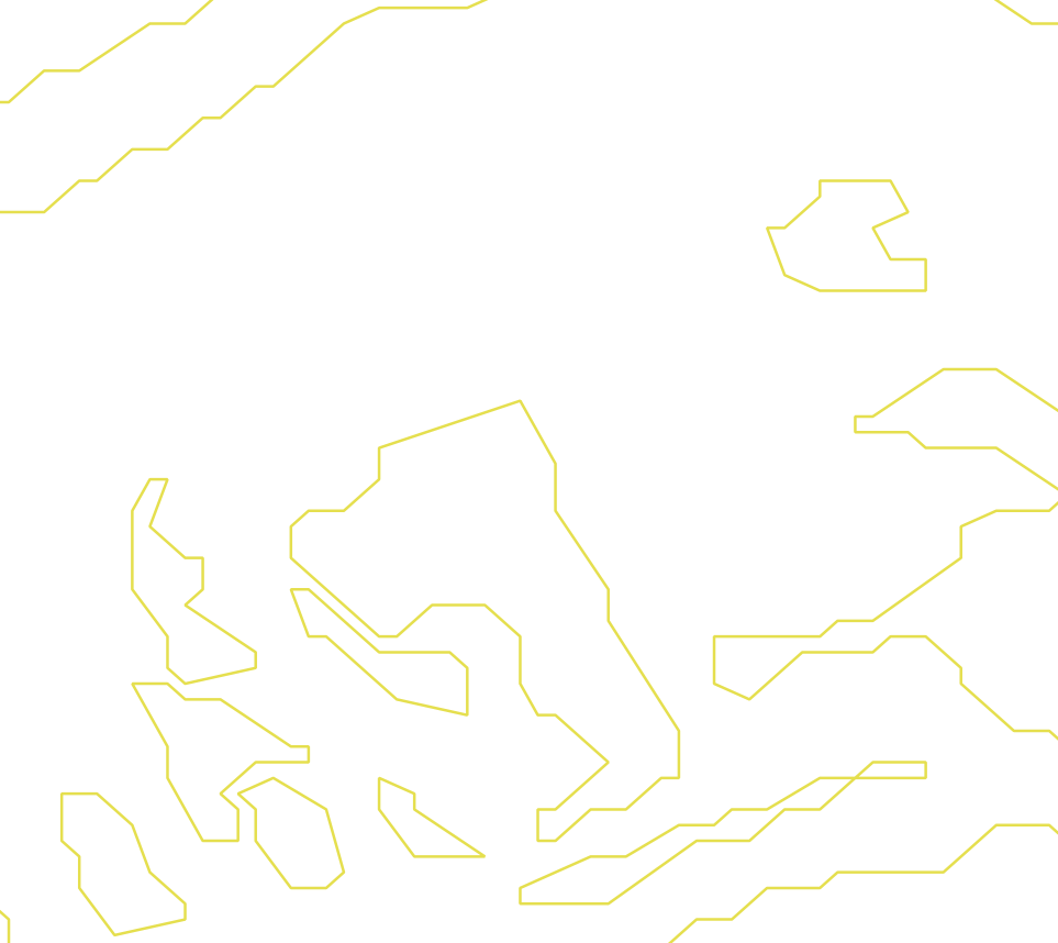 Daksegment ingezoomd met contourlijnen en structuurweergave
