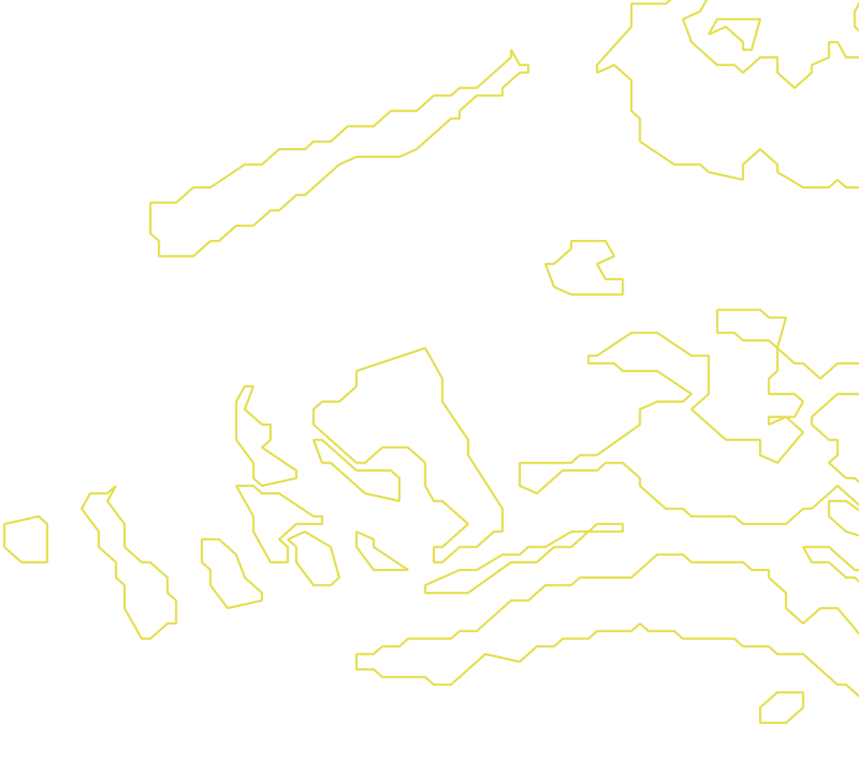 Daksegment met contourlijnen en structuurweergave