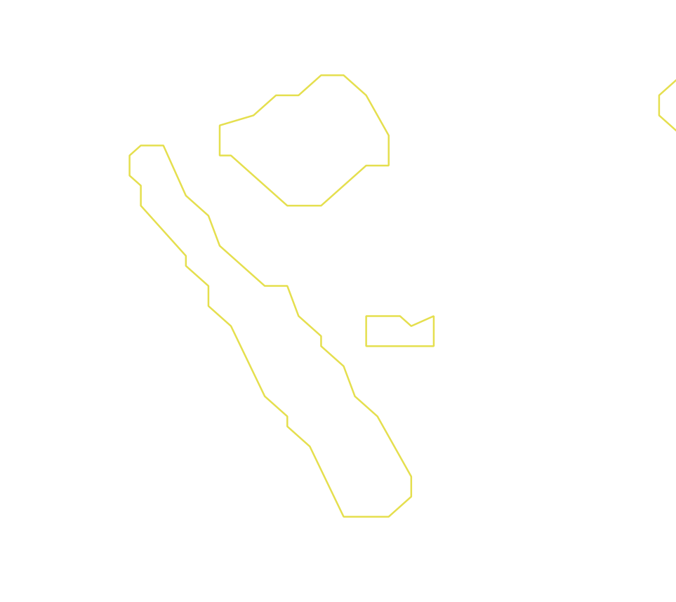 Daksegment ingezoomd met contourlijnen en structuurweergave